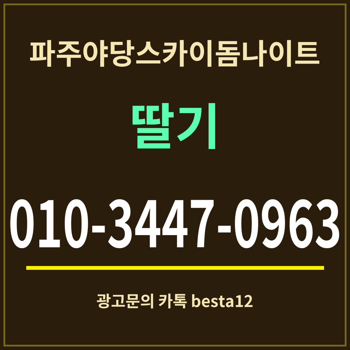 파주야당스카이돔나이트 부킹 안내